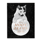 space themed greeting card set
