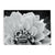Vintage-car-in-outer-space-greeting-card