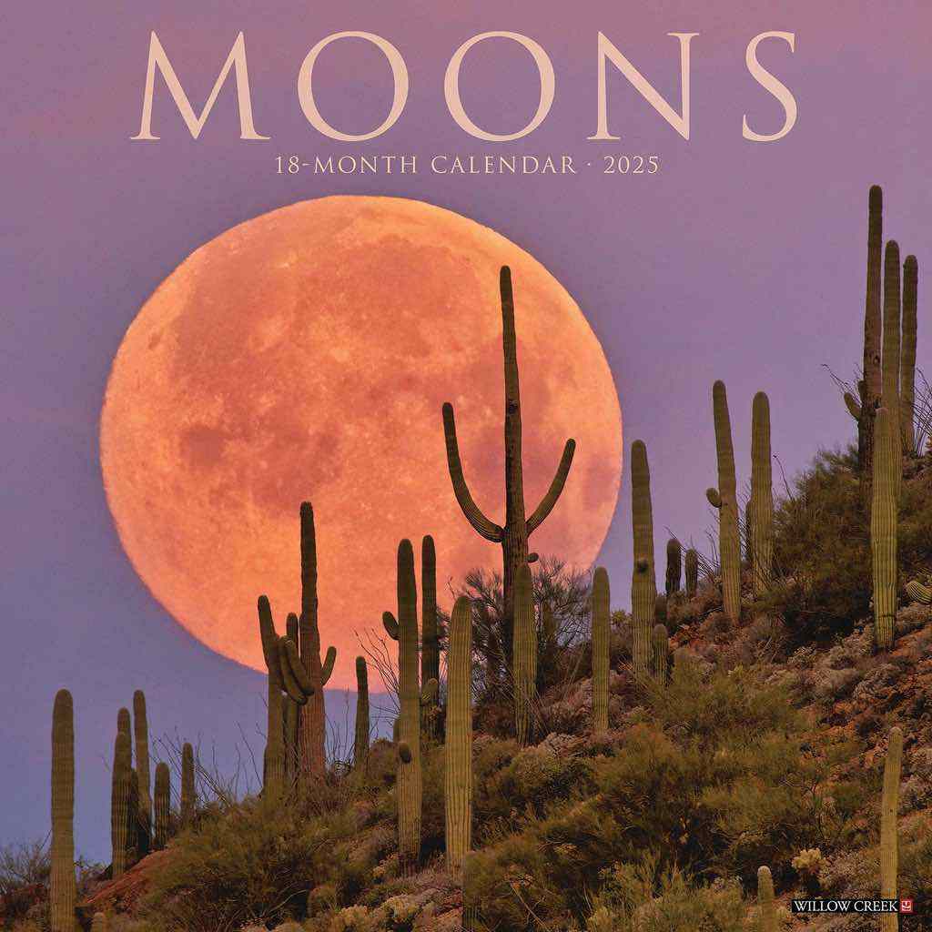 moons-2025-wall-calendar-the-interstellar-seller
