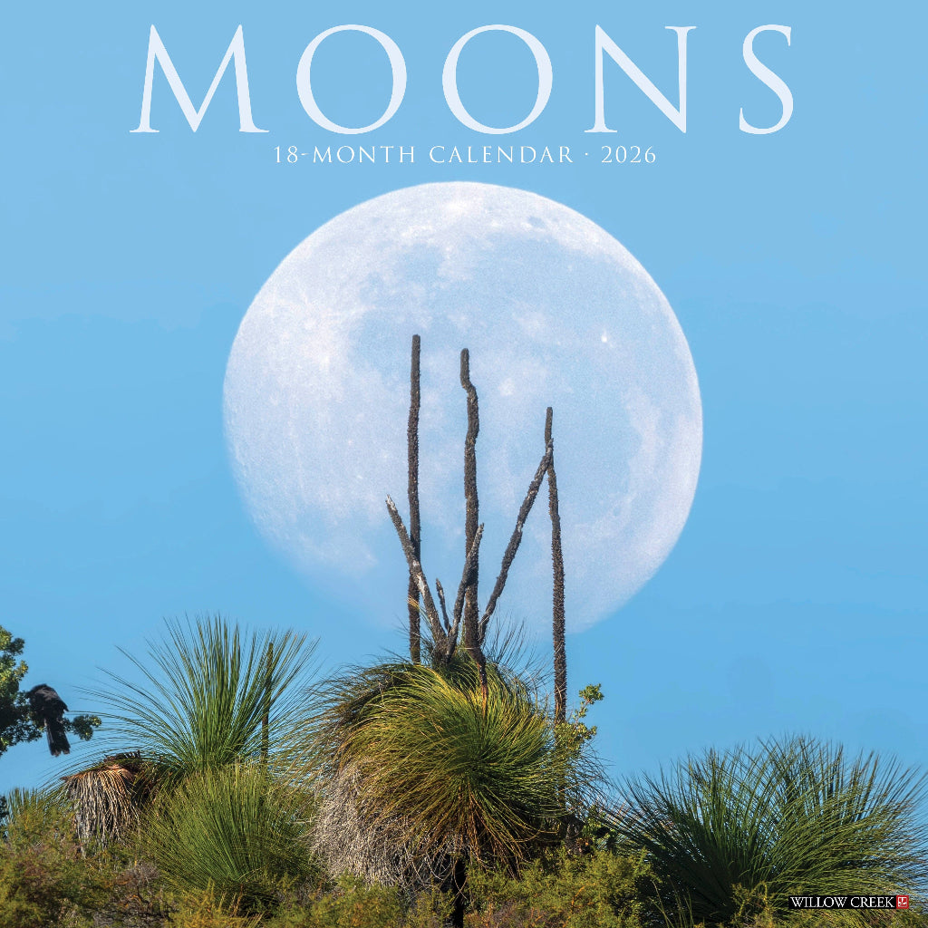 2026TYPE-MOONカレンダー Amazon.com: 2026 Calendar – Phases of the Night Sky 28x36