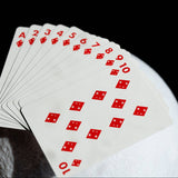 NASA Foil “Meatball” Logo Playing Cards