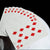 NASA Foil “Meatball” Logo Playing Cards