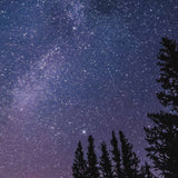 Starry night sky photo throw blanket showing the Milky Way galaxy above the trees - a beautiful space throw blanket gift!