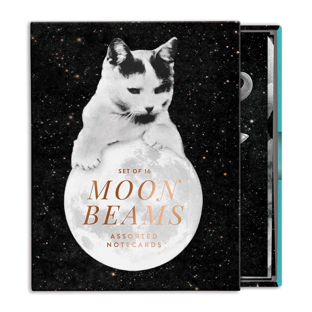 Moon Notes Notecard Set - Moon Greeting Cards with NASA Space Photos – The  Interstellar Seller