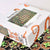 Earth Wooden Puzzle - 199 Pcs
