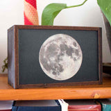 Medium sized wooden moon trinket box or stash box