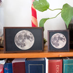 Wooden moon trinket boxes
